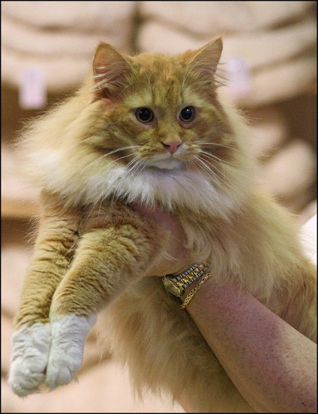 Inconnu 1.jpg - Inconnu